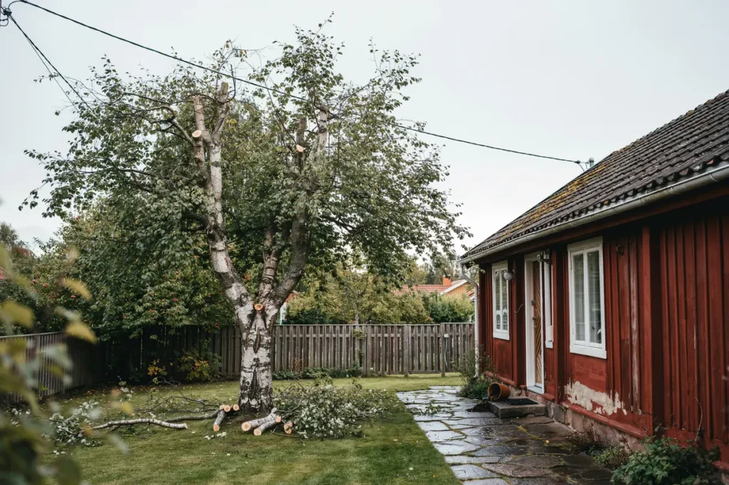 n r beh vs sektionsf llning n ra hus och elledningar