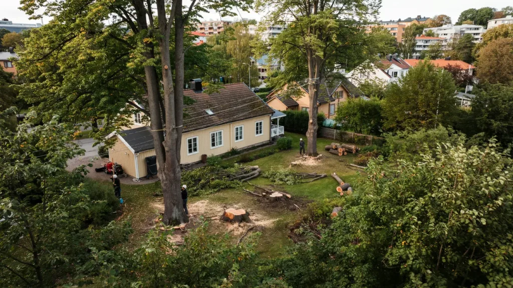 tr df llning och sektionsf llning n ra hus och elledningar i rgryte